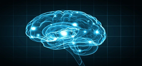 Research reveals environmental and disease factors can speed up the brain&rsquo;s biological age