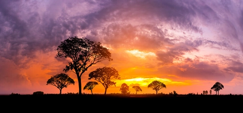 Rising heat exposure threatens maternal and newborn health, requiring urgent interventions