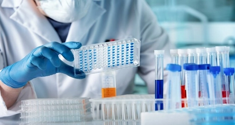 Can a special immune protein in the body be harnessed to stop ovarian cancer? 