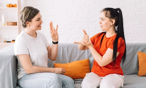 Is Irish sign languages legislation fit for purpose?