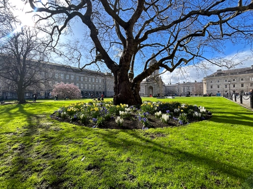 Spring campus