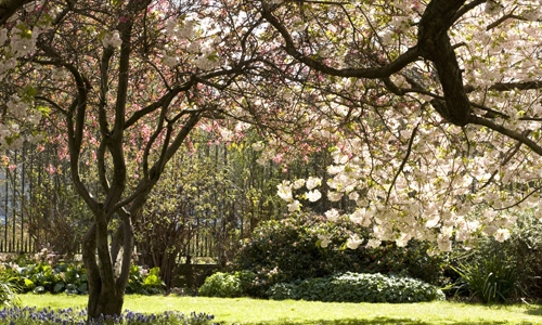 Spring on campus