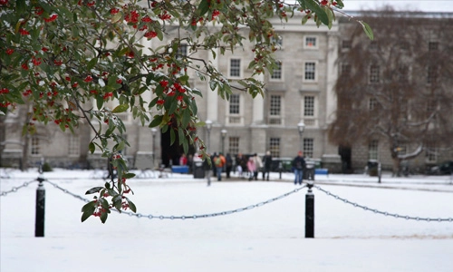 Winter on campus