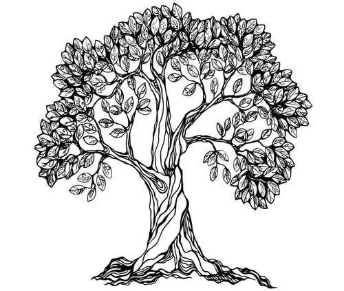 Ecology modelling group logo - tree