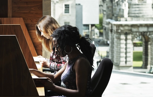 students working in library