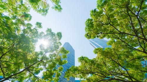 Banner - Entrepreneurship for the Nature-based Enterprise