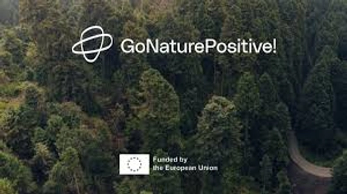 GoNaturePositive logo overlay on forest image - lust green conifer trees