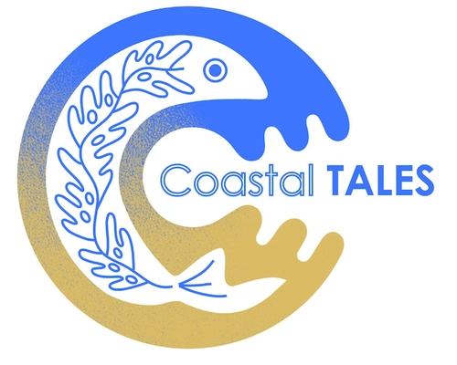 Logo Fish with Celtic knotwork and fading colour from blue to yellow in a C shape