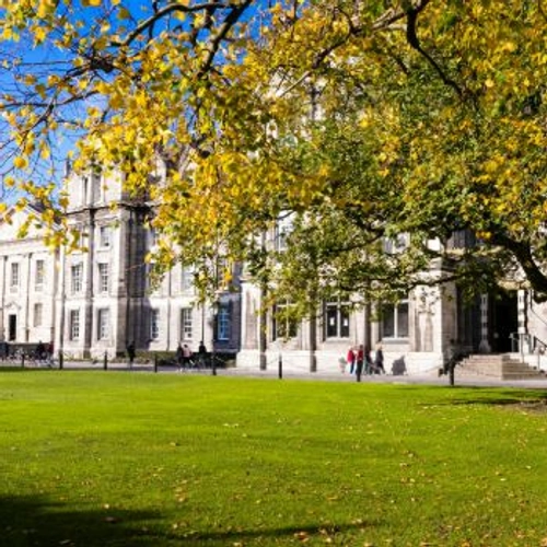 Campus old Buildings on a sunny day, blue sky, green grass and tree with golden leaves