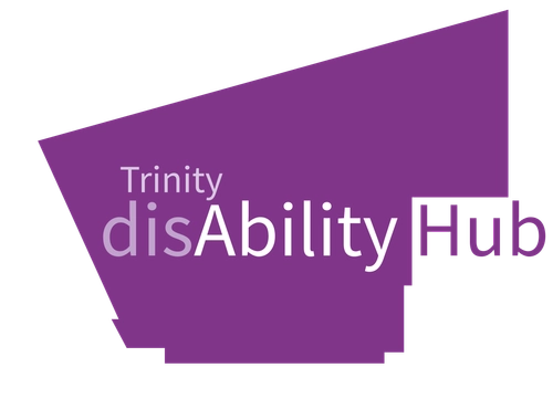 disability hub logo 2