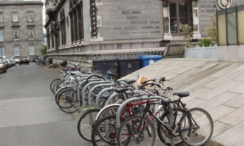 Bikes outside the library