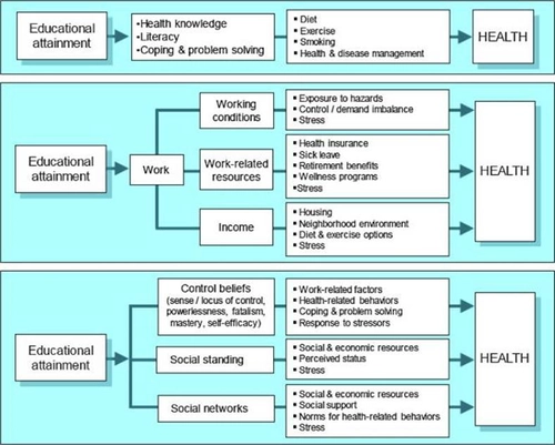 Education and Health Clip