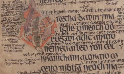 Detail of a medieval Irish manuscript.