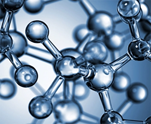 MSc in Molecular Medicine