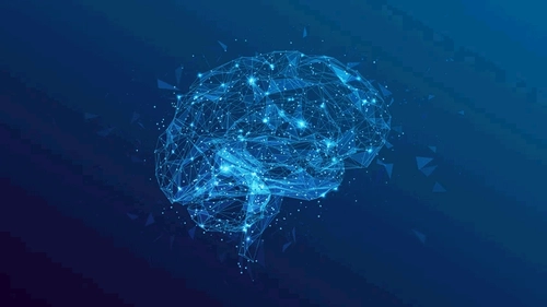 MSc in Applied Clinical Neuropsychology