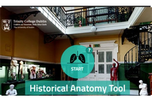 historical anatomy tool