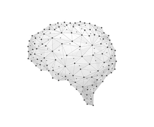 Neuroscience