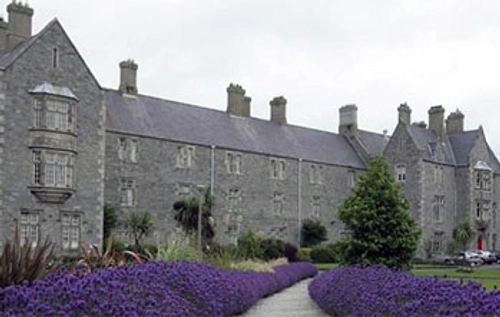 The Irish Central Mental Hospital