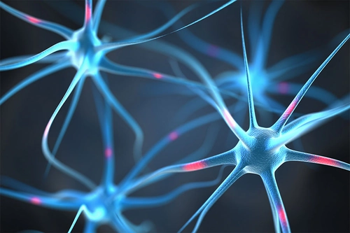 neuron cells