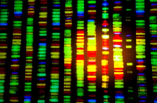 genetics