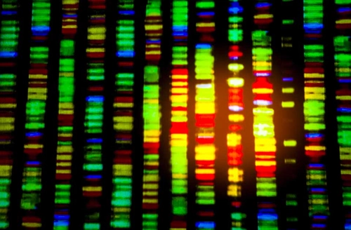 genetics