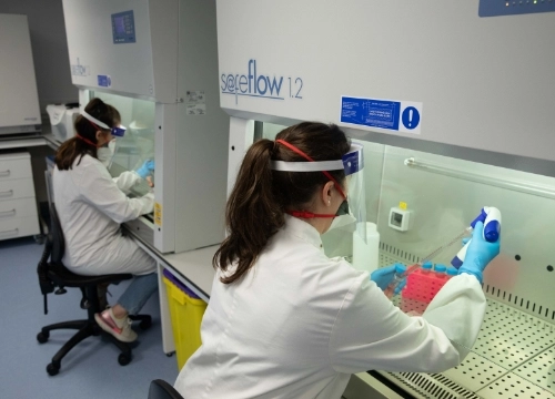 Student working in lab, Trinity College Dublin.