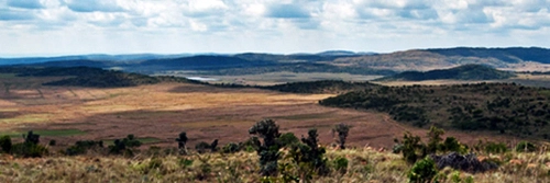 African landscape.