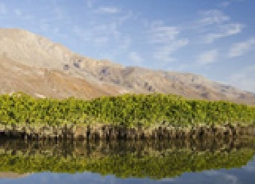 Landscape image
