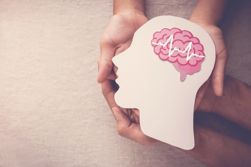 hand holding model of human head silhouette with brain
