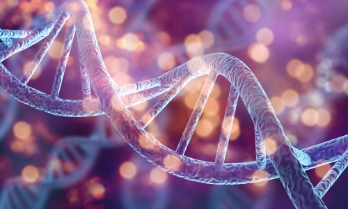 DNA helix