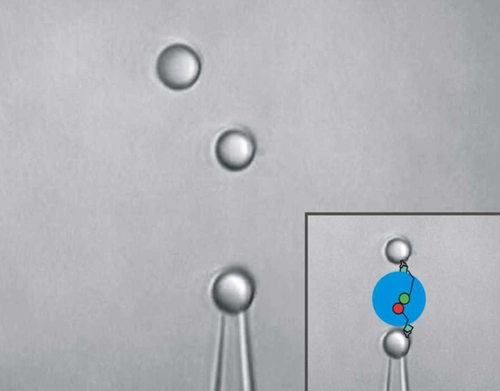 Nanobio - Nanomechanics Group News