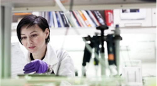open-positions