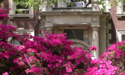 Some flowers growing beside the entrance to a building