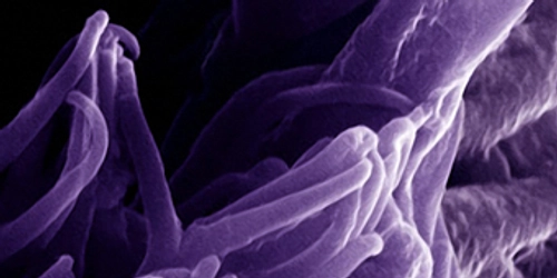 Nanoscience