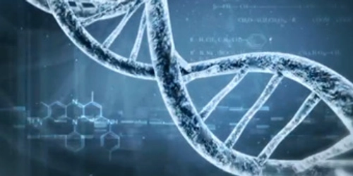 Genes & DNA