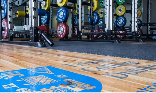 An image of Trinity's high performance gym floor which features an imprint of the college logo. There are racks with different bumper plates in the background of the photo