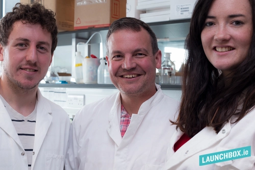 Team Labcup