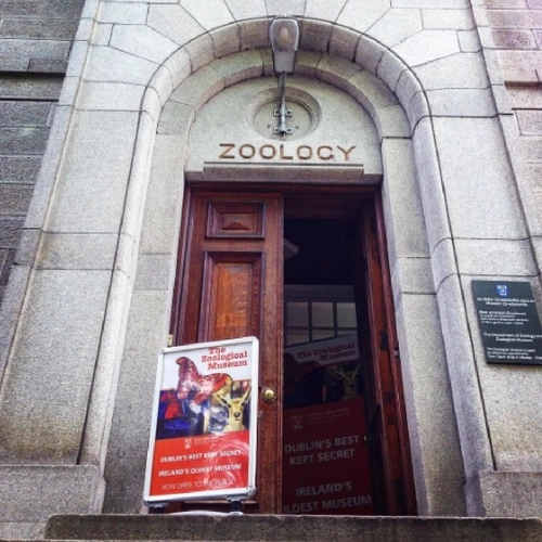 Zoology Museum Gallery 5