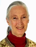 Jane Goodall (Sc.D.)
