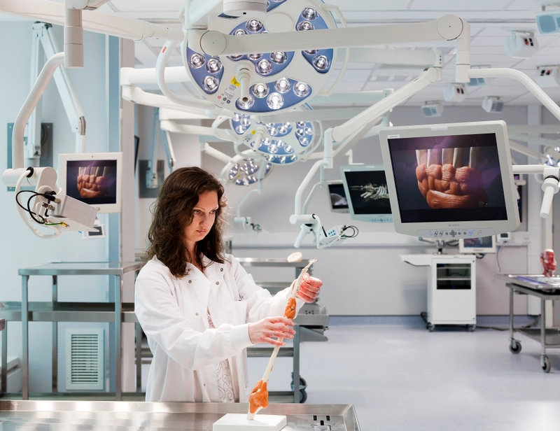 anatomy lab - claire