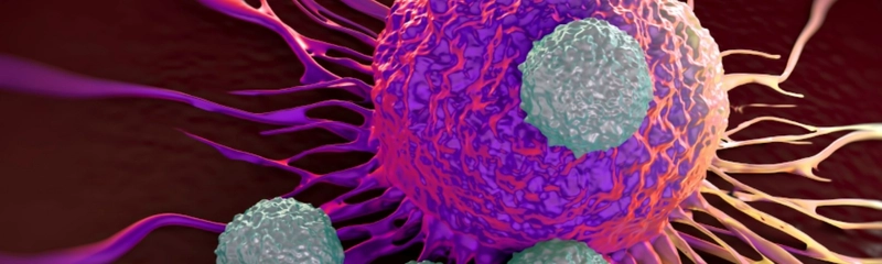 Image of a cell