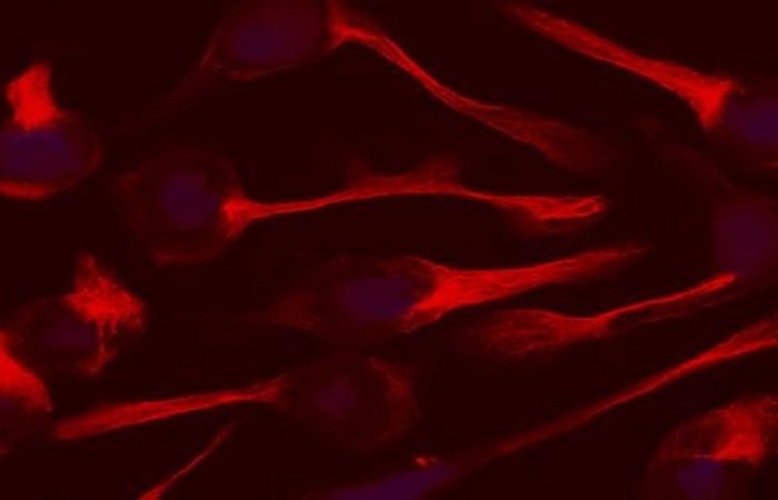 Up close imgage of nanoparticles