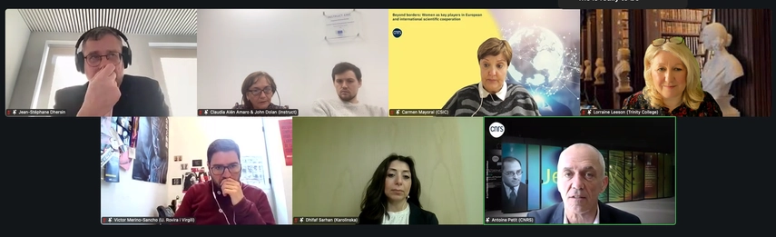 Screenshot of online participants on expert panel