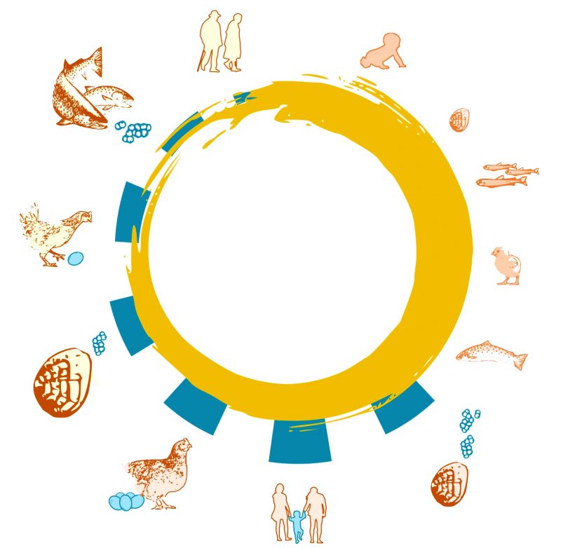 The pace and shape of life varies hugely across the animal kingdom.