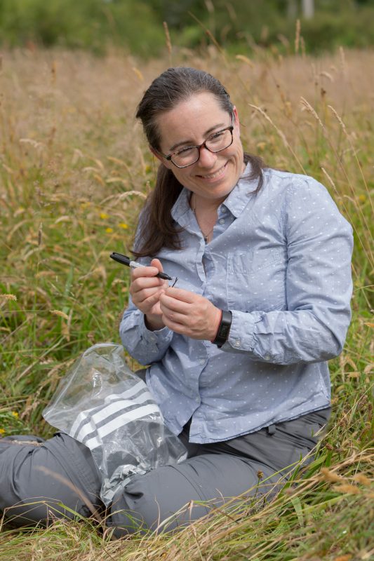Professor Yvonne Buckley marking plantain plants in one of the study areas.