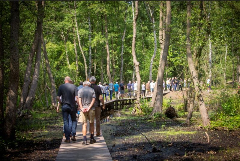 The benefits of nature-based solutions such as living roofs and walls, sustainable drainage systems, natural wastewater treatments, constructed wetlands and so on, are well known for citizens and the environment. However, the economic potential of nature-based solutions has been less well explored until now. 