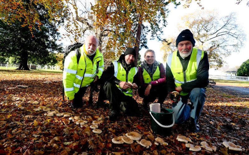 Biodiversity survey reveals Áras an Uachtaráin site is “extremely diverse”