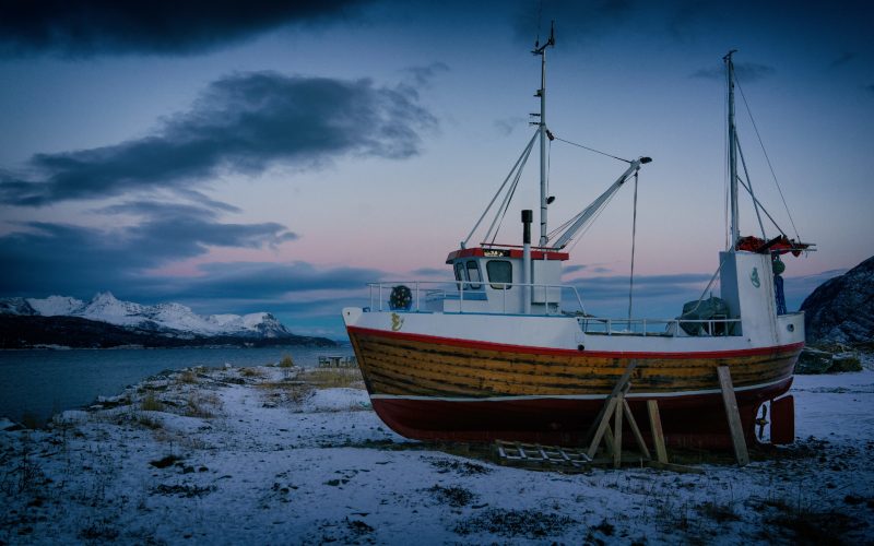 The 4-OCEANS project will bring together leaders with expertise in marine environmental history, climate history, natural history, geography, historical ecology and zooarchaeology, nurturing a unique collaboration and integration of researchers from the humanities, natural sciences and social sciences.