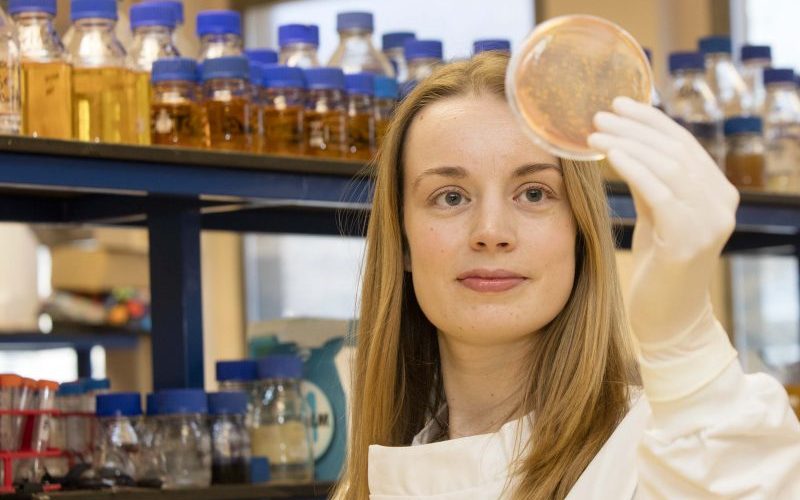 Professor Joan Geoghegan in the lab. Image: Dave Cullen.