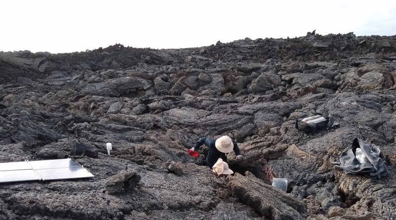 One of the researchers on location. Image: Andrew Bell.